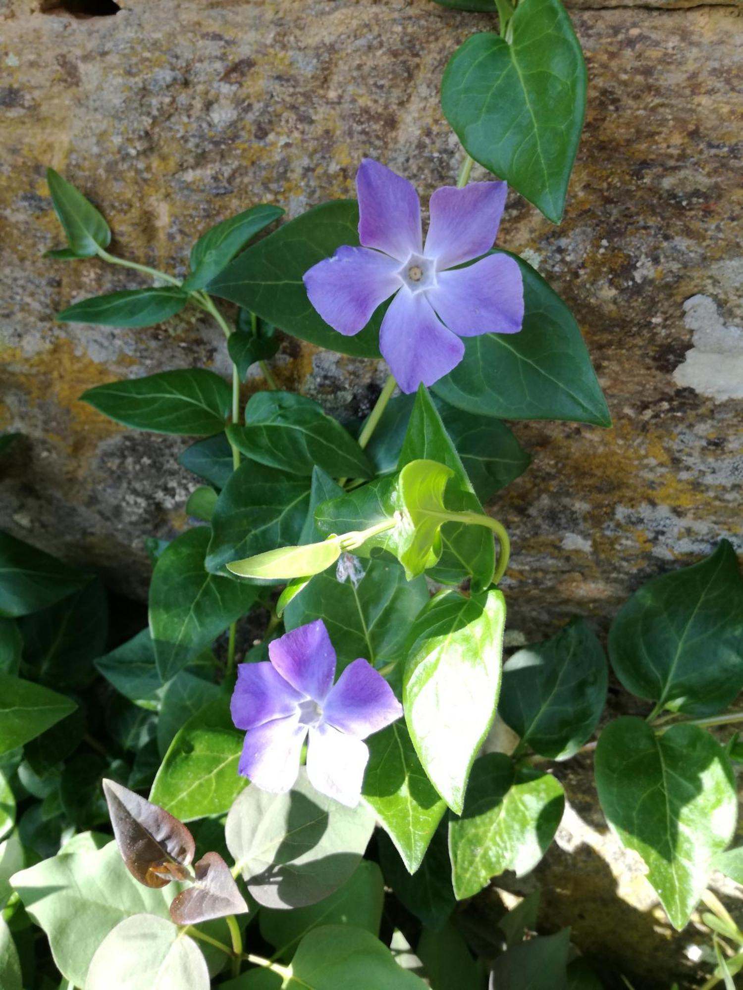 La Posada De Pedrazales 외부 사진