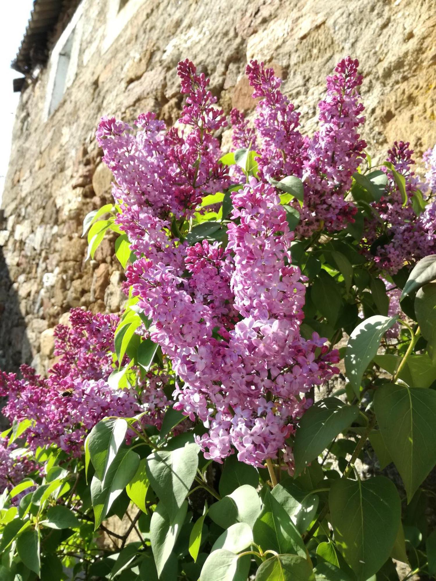La Posada De Pedrazales 외부 사진