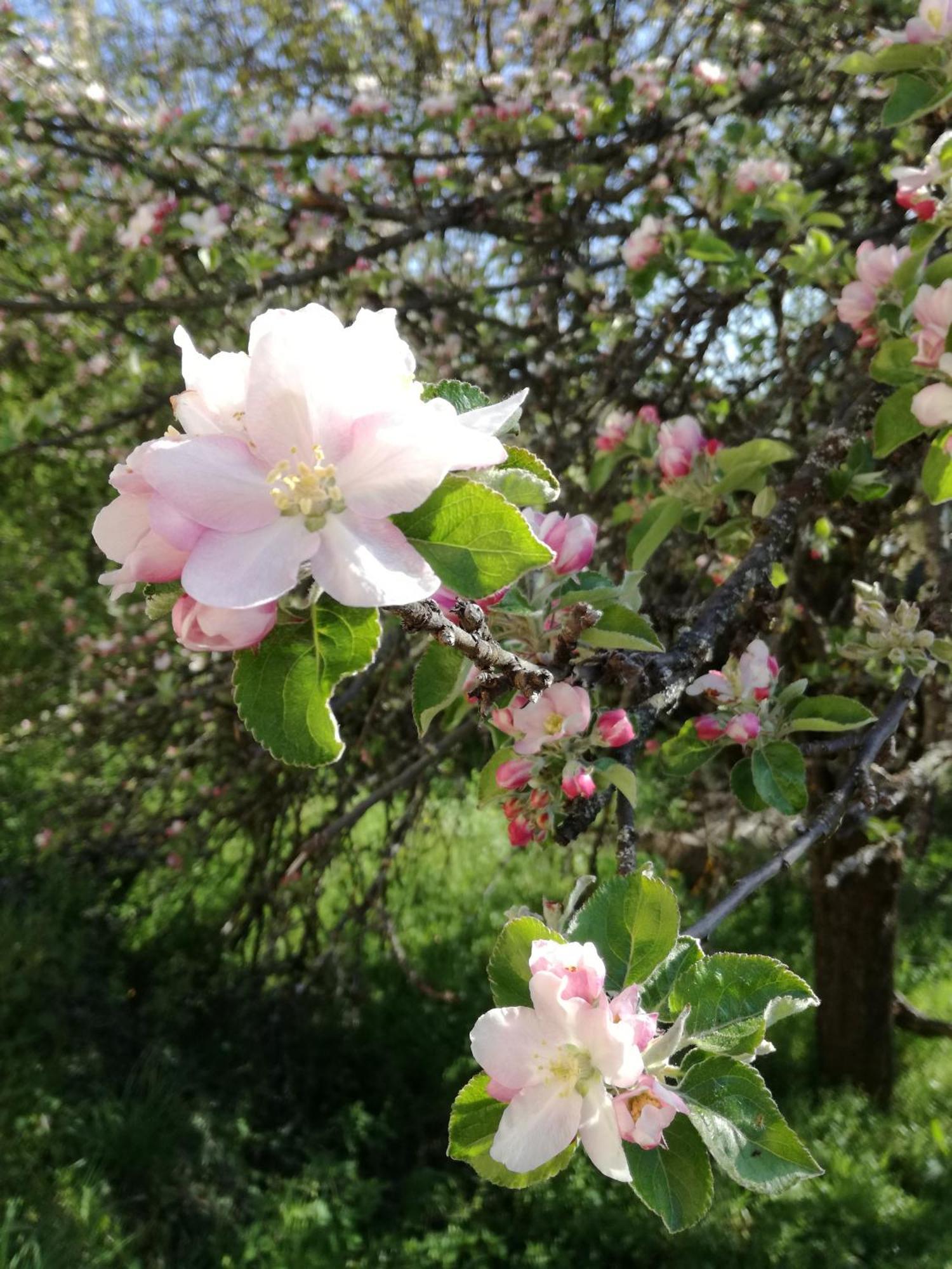 La Posada De Pedrazales 외부 사진